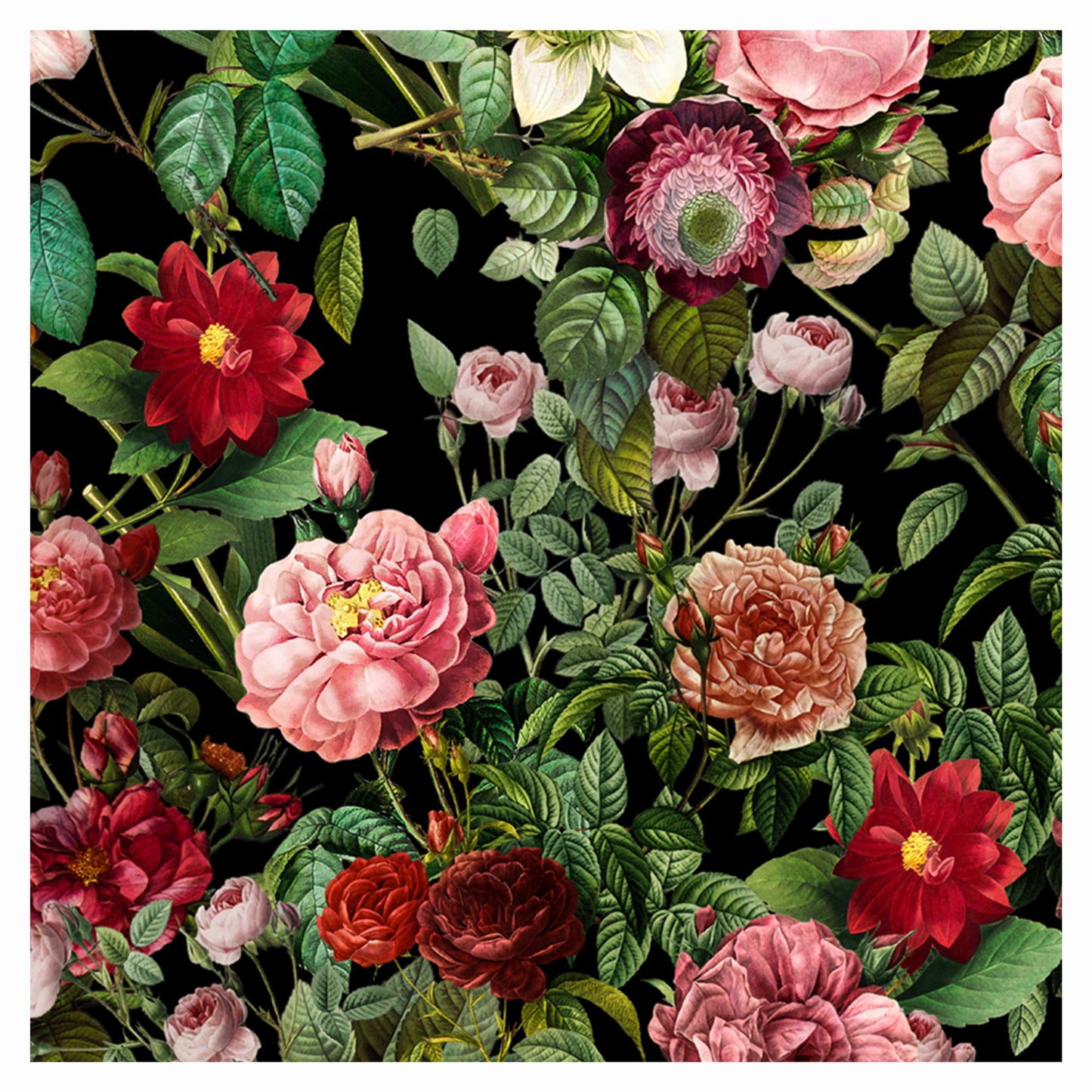 Herbal Elegance Art Print