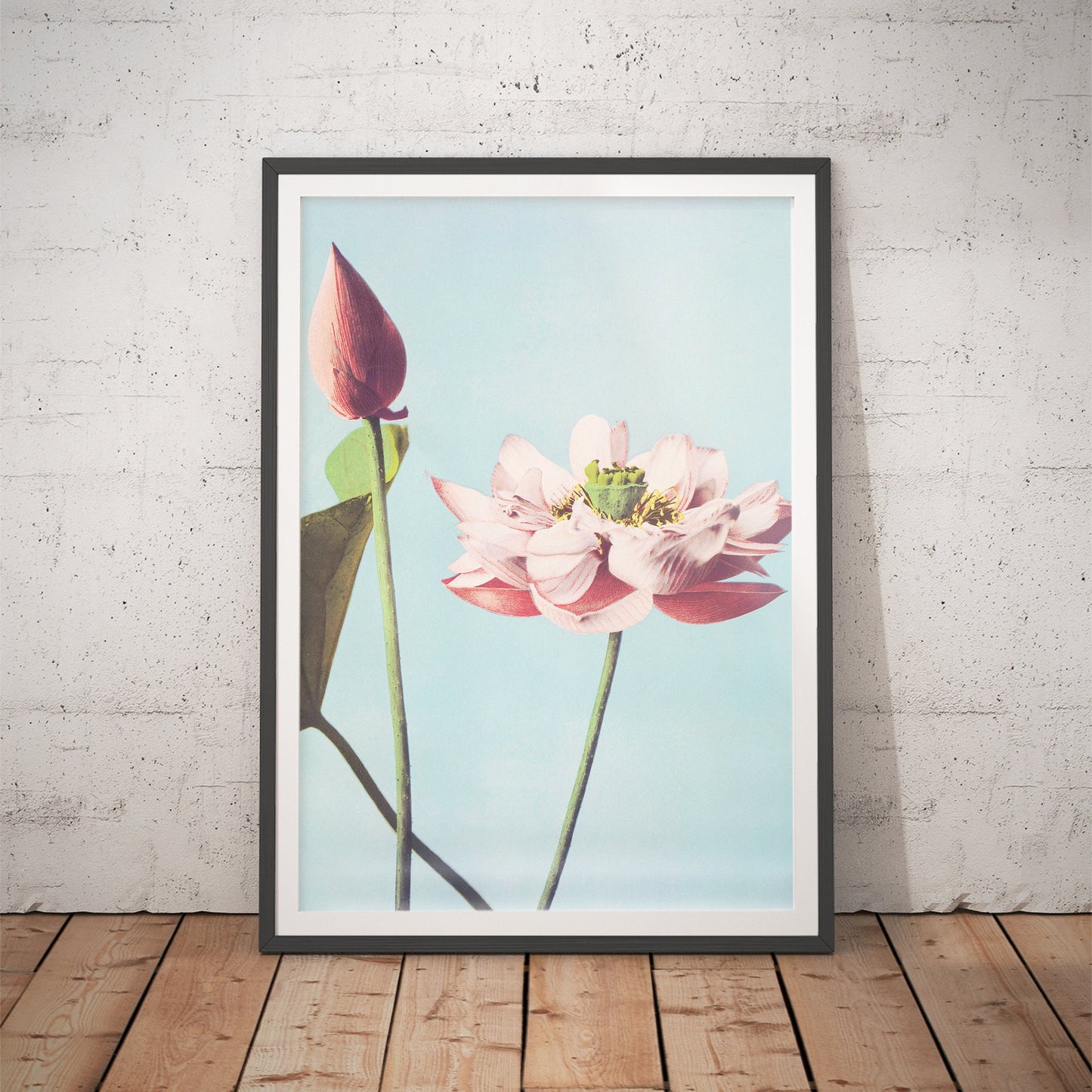 Lotus Flowers by Ogawa Kazumasa Art Print