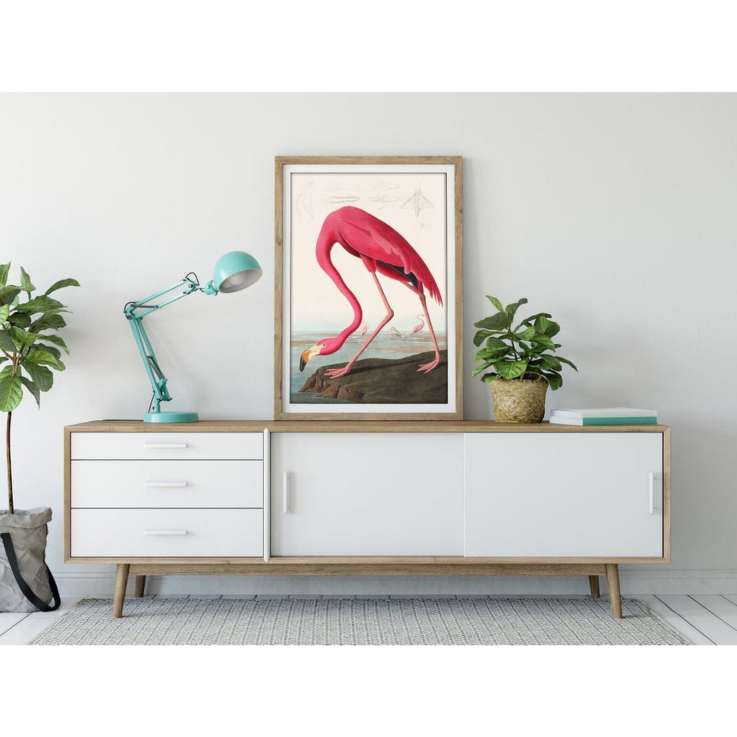 Pink Flamingo by John James Audubon Art Print