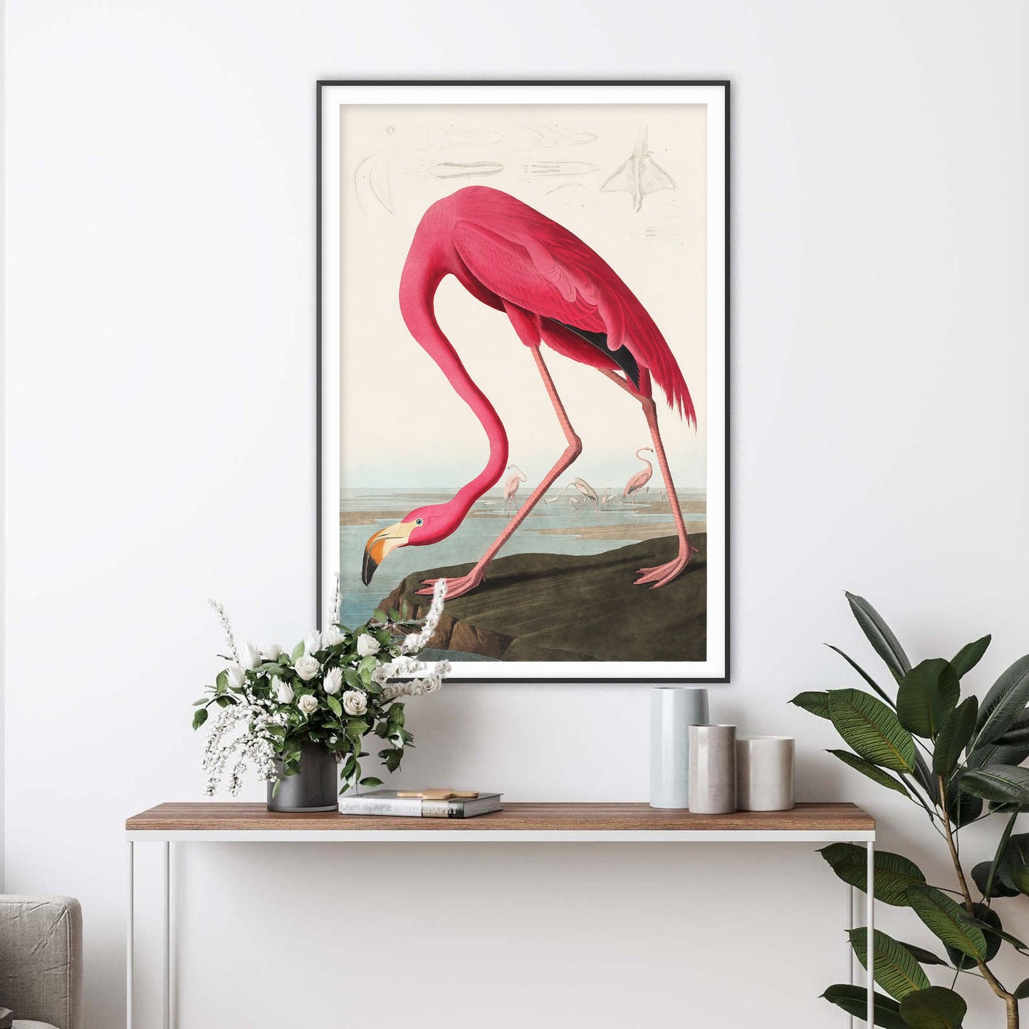 Pink Flamingo by John James Audubon Art Print