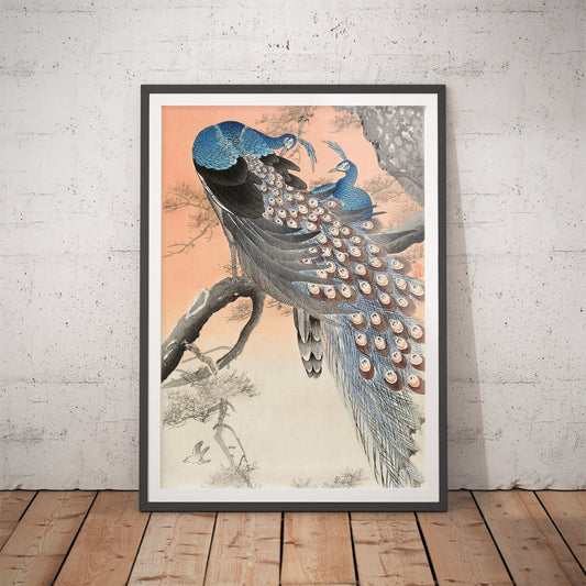 Two Peacocks on Tree Branch Art Print