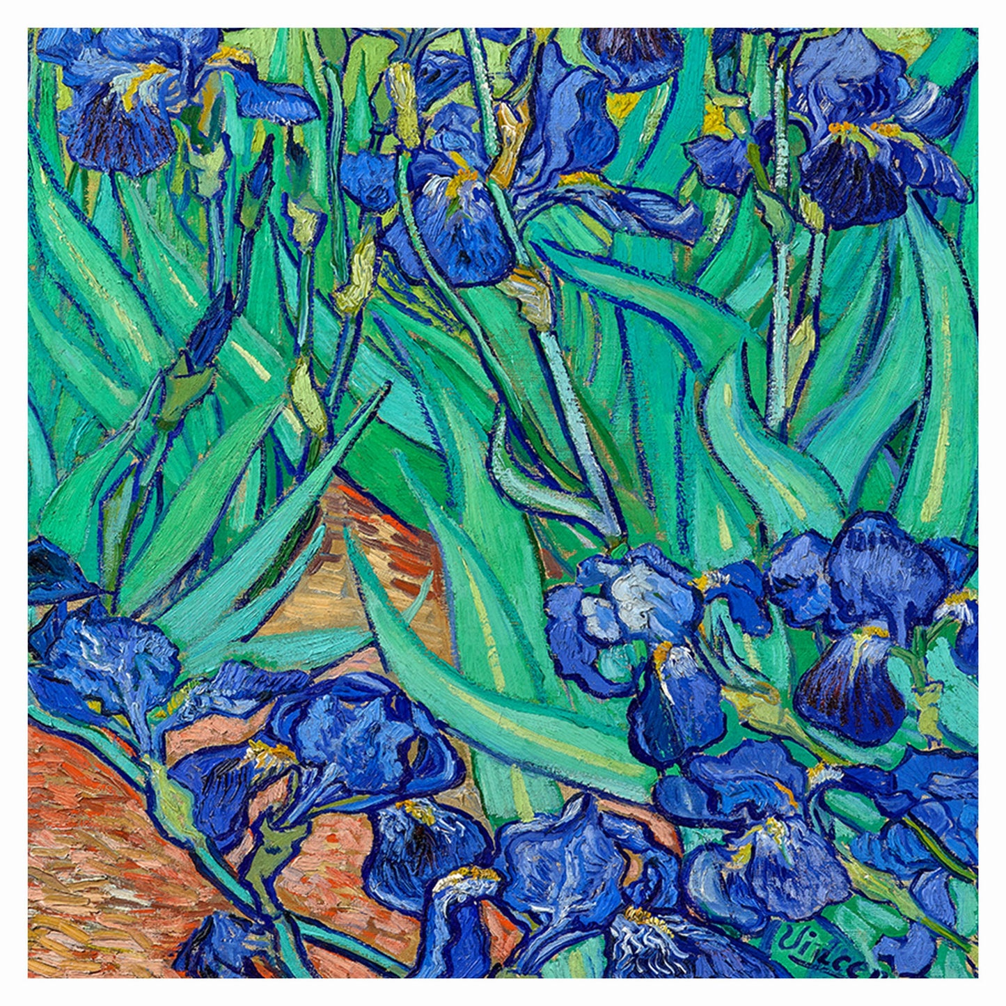 Irises by Vincent Van Gogh Art Print