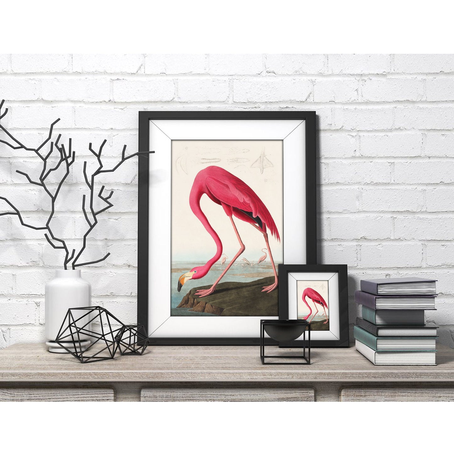 Pink Flamingo by John James Audubon Art Print