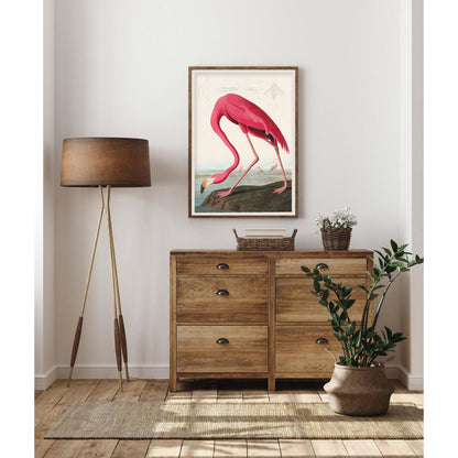 Pink Flamingo by John James Audubon Art Print